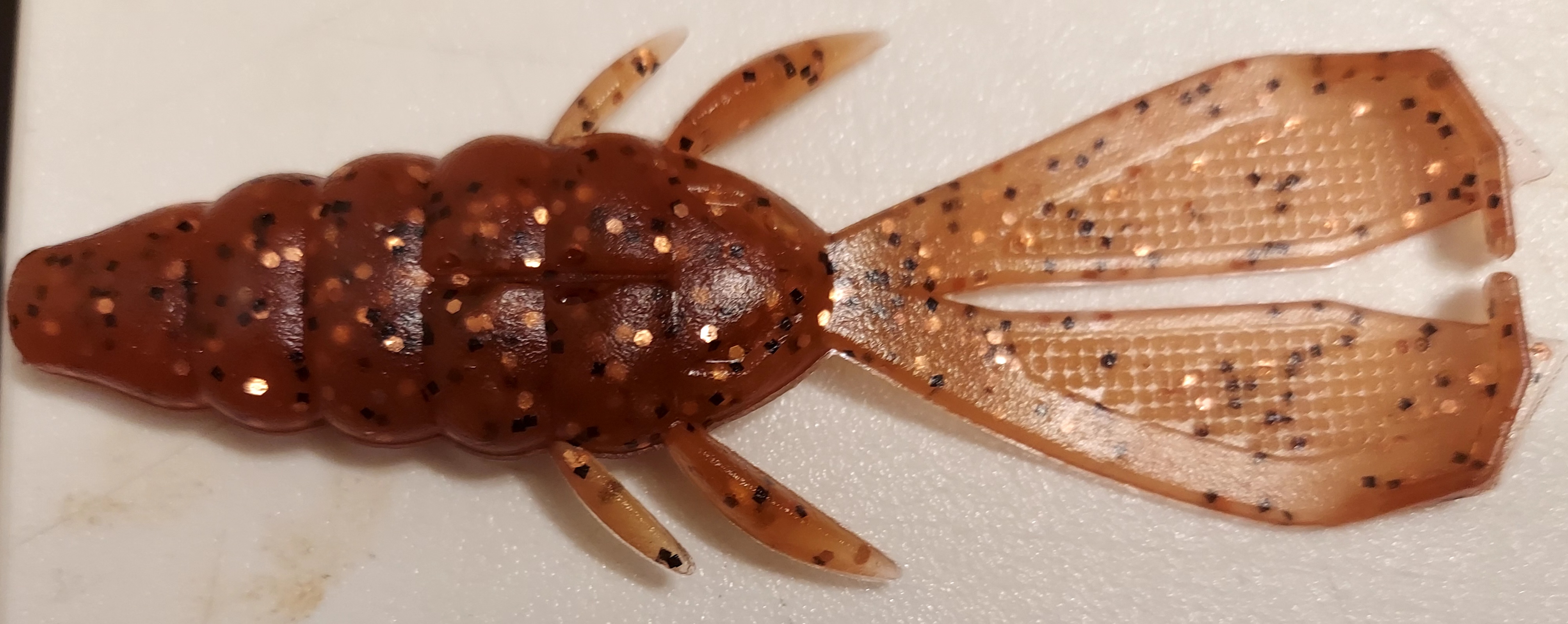 bushi beetle pumpkinseed_copper